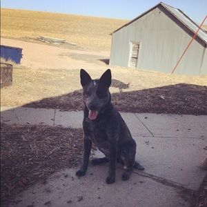 Meet your Posher, Paige